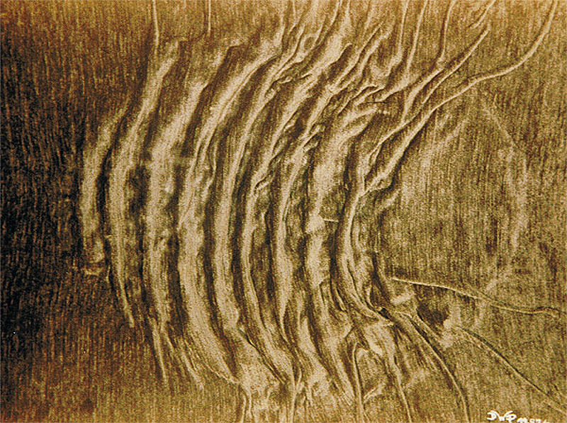1987-11-Mondspiegelung-Stoff-Gips-auf-Holz